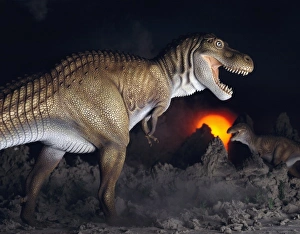 Tyrannosaurus rex