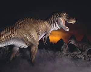 Tyrannosaurus rex