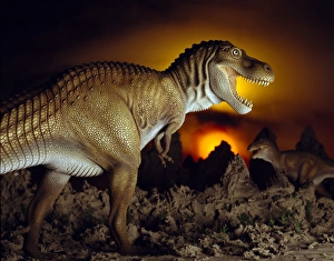 Tyrannosaurus rex