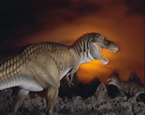 Tyrannosaurus rex