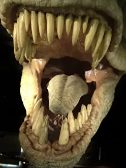 Tyrannosaurus rex