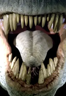 Tyrannosaurus rex