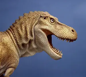 Tyrannosaurus rex