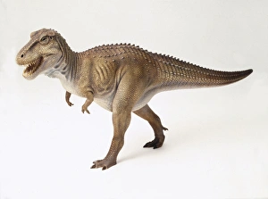 Tyrannosaurus rex