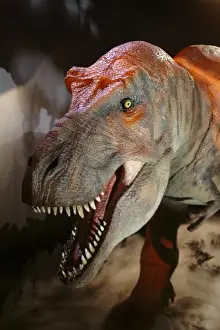 Tyrannosaurus rex