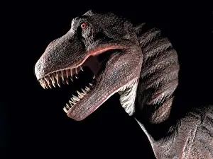 Tyrannosaurus rex