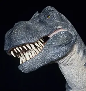Tyrannosaurus rex