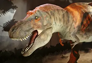 Tyrannosaurus rex