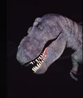 Tyrannosaurus rex