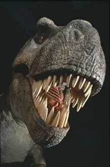 Tyrannosaurus rex