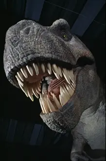 Tyrannosaurus rex