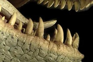 Tyrannosaurus rex