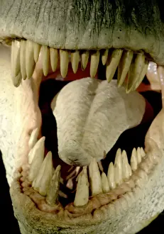 Tyrannosaurus rex