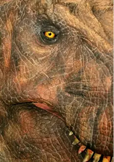 Tyrannosaurus rex