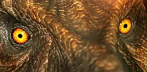 Tyrannosaurus rex