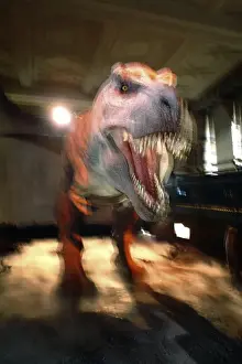 Tyrannosaurus rex