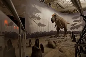 Tyrannosaurus rex