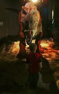 Tyrannosaurus rex