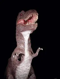 Tyrannosaurus rex