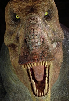 Animatronic Gallery: Tyrannosaurus rex, Upper Cretaceous dinosaur