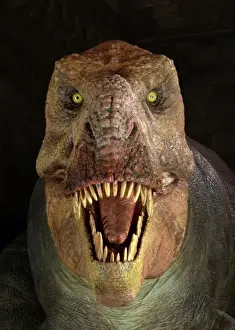 Tyrannosaurus rex, Upper Cretaceous dinosaur