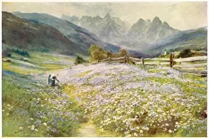 Tyrol Flower Picker