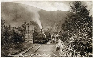 Images Dated: 2022 Collection