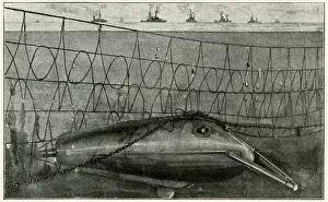 Hung Prints: U-boat Under Net