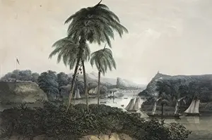 Forts Prints: The U. S. naval expedition under Com ore M. C. Perry, ascendi