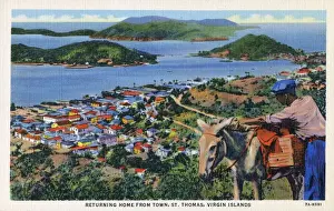 Mar19 Prints: U. S. Virgin Islands - St. Thomas - Returning Home