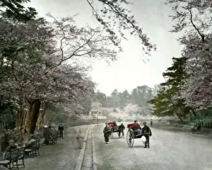 Ueno Park, Tokyo, Japan