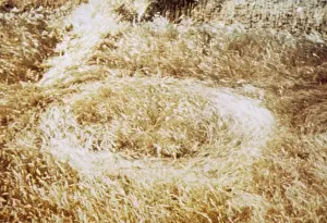 Nest Prints: UFO saucer nest, Langenburg, Saskatchewan, Canada