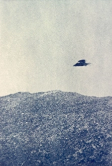 Alas Gallery: Ufos / Marquand