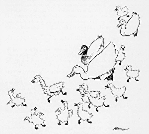 Andersen Gallery: Ugly Duckling 1
