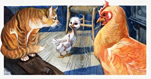 Images Dated 2nd November 2006: The Ugly Duckling