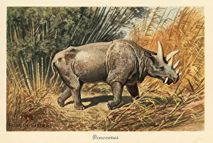 Tusk Prints: Uintatherium anceps in a jungle clearing