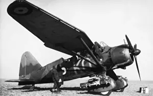 Airforce Prints: Uk Royal Airforce 2 Squadron Westland Lysander Mk1 Aircraft
