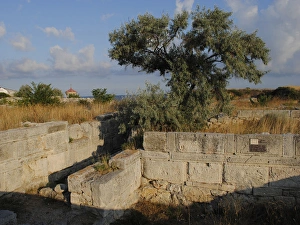 Images Dated 3rd August 2011: Ukraine. Chersonesus Taurica ruins