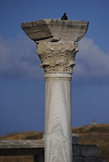 Images Dated 3rd August 2011: Ukraine. Chersonesus Taurica ruins