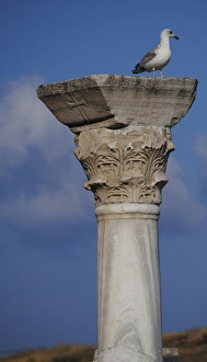 Images Dated 3rd August 2011: Ukraine. Chersonesus Taurica ruins