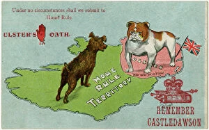Images Dated 13th July 2016: Ulsters Oath - The Bulldog will not submit to Home Rule