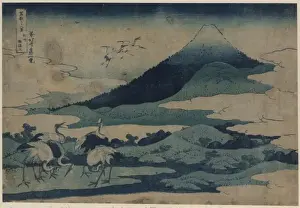 Umezawa manor in Soshu