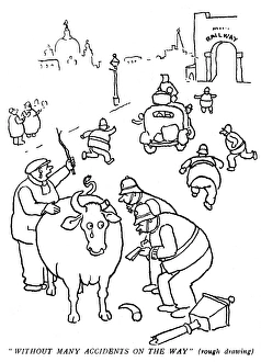Horned Cow or Bull