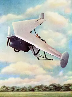 Yeovil Prints: Unconventional aircraft Pterodactyl tailless aeroplane