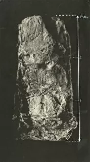 Sance Gallery: Undated photograph of enlarged piece of teleplasm