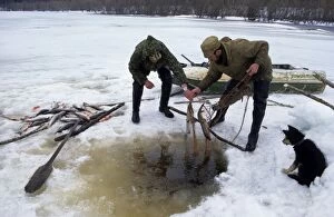 Nets Gallery: Under-ice net fishing, typical in Russia and particularly