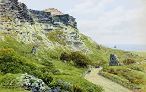 Rocky Prints: The Undercliff, Niton, Ventnor, Isle of Wight