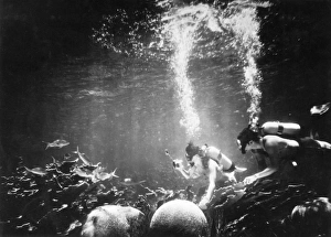 Underwater Habitat Underwater Habitat