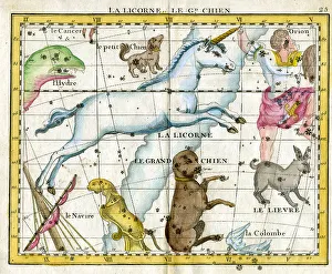 Unicorn Prints: Unicorn and Dog