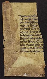 Unidentified Fragment